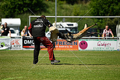 Q'Io de l'origine de faucon rouge