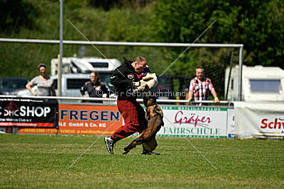 Q'Io de l'origine de faucon rouge