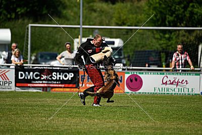 Q'Io de l'origine de faucon rouge