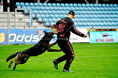 Qer z Lomeckého polesí