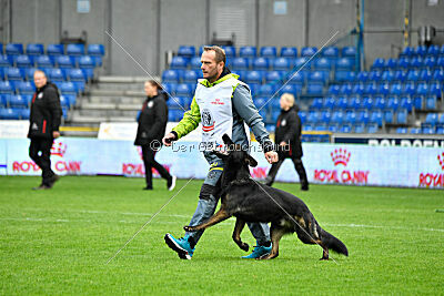 Qer z Lomeckého polesí