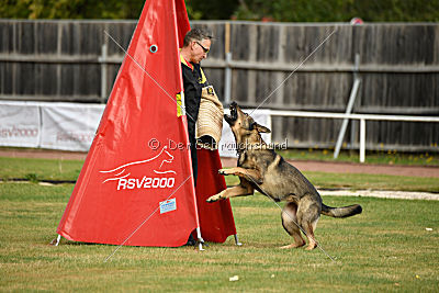 Quattro vom Wolfsdreieck