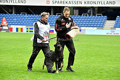 Quattro von der Daelenberghütte