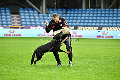 Quattro von der Daelenberghütte