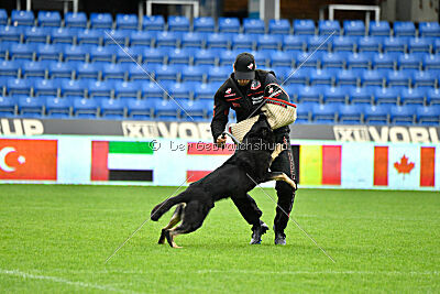 Quattro von der Daelenberghütte