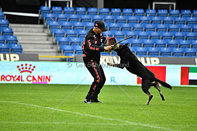 Quattro von der Daelenberghütte