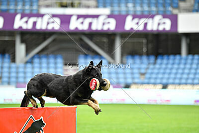 Quattro von der Daelenberghütte