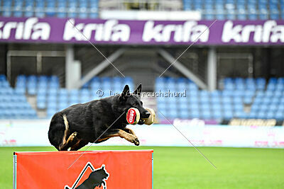 Quattro von der Daelenberghütte
