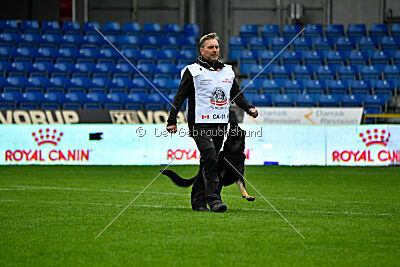 Quattro von der Daelenberghütte