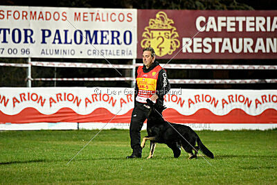 Quattro von der Daelenberghütte