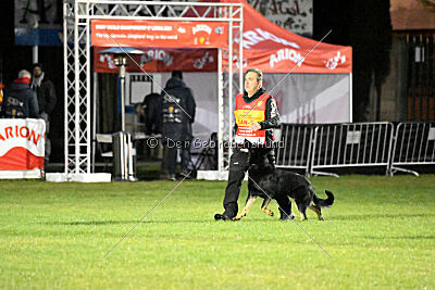 Quattro von der Daelenberghütte