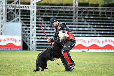 Quattro von der Daelenberghütte