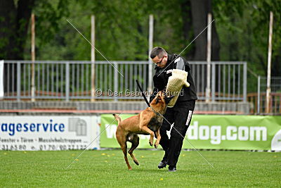 Quay von den kleinen Helden