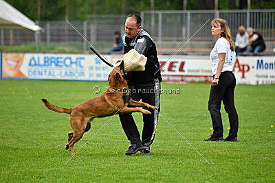 Quay von den kleinen Helden