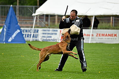 Quay von den kleinen Helden