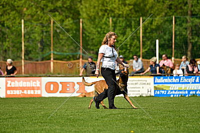 Quay von den kleinen Helden
