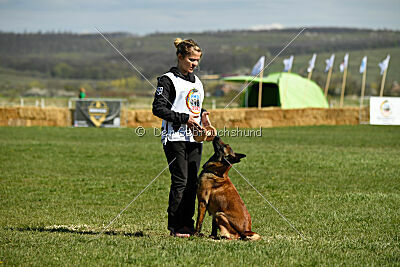 Quenn van de Berlex-Hoeve