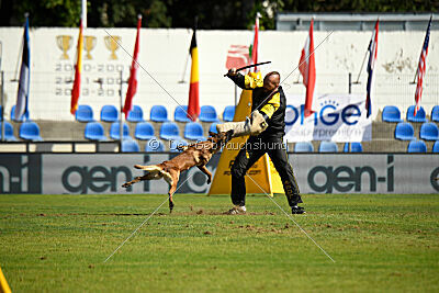 Quenn van de Berlex-Hoeve