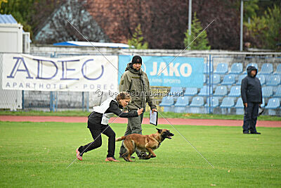 Quenn van de Berlex-Hoeve