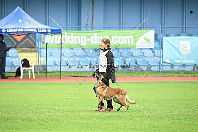 Quenn van de Berlex-Hoeve