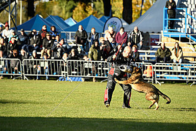 Quick vom Hierschenwieshof