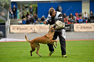 Quick vom Holzhäuser Flur