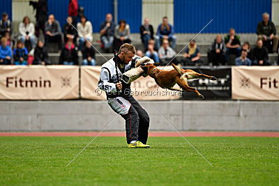 Quick vom Holzhäuser Flur