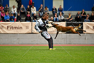 Quick vom Holzhäuser Flur