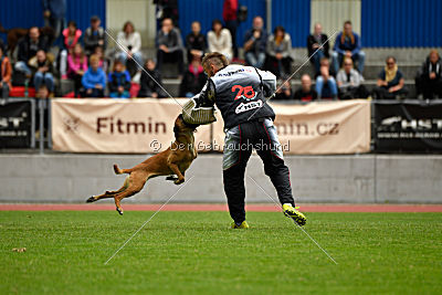 Quick vom Holzhäuser Flur