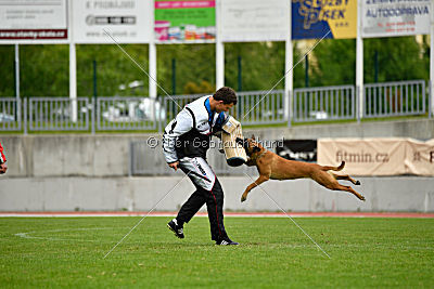 Quick vom Holzhäuser Flur