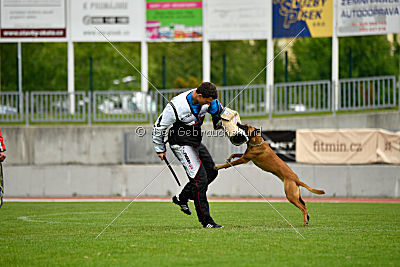 Quick vom Holzhäuser Flur