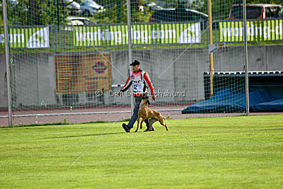 Quick vom Holzhäuser Flur