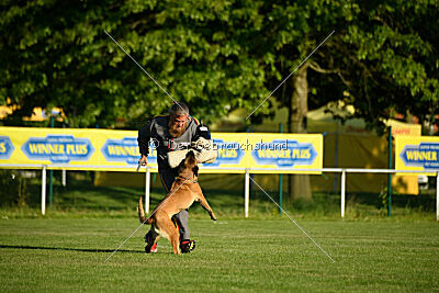 Quina dei Bonaccorso