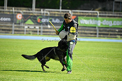 Quincy vom dunklen Zwinger