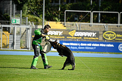 Quincy vom dunklen Zwinger
