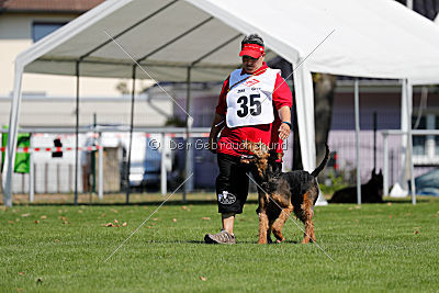 Quinlan-Kurt vom Miekenberg