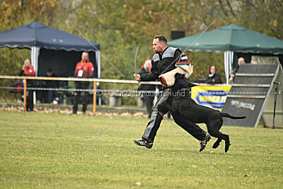 Qypz'Åvs Skallkrossare