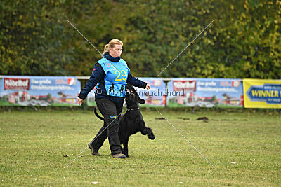 Qypz'Åvs Skallkrossare