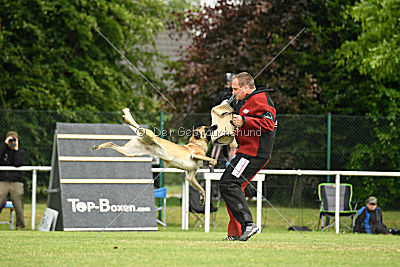 Race vom Rheurdter Land