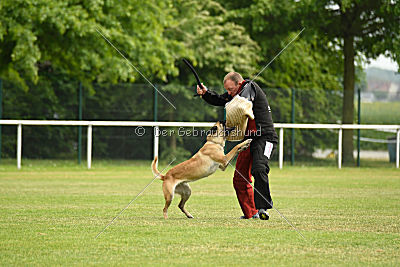 Race vom Rheurdter Land