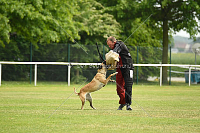 Race vom Rheurdter Land