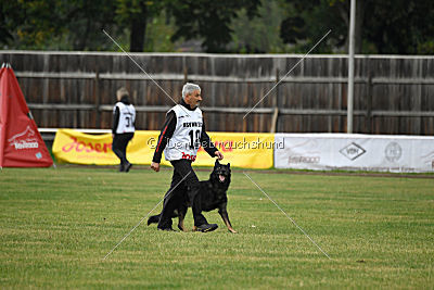 Radetzky del Camino Duro