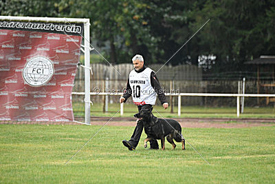 Radetzky del Camino Duro