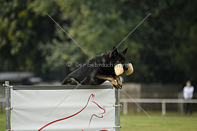 Radetzky del Camino Duro