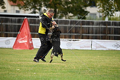 Radetzky del Camino Duro