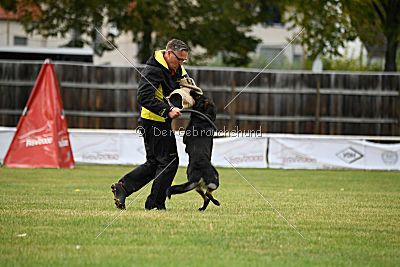 Radetzky del Camino Duro