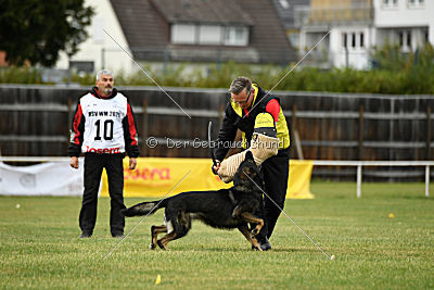 Radetzky del Camino Duro