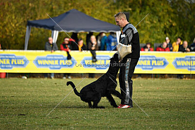 Ran-Tan-Plan von Elberfeld