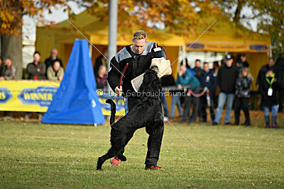 Ran-Tan-Plan von Elberfeld