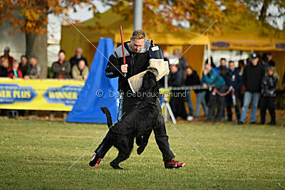 Ran-Tan-Plan von Elberfeld